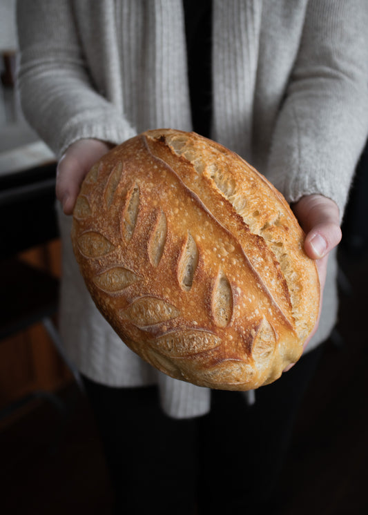 Beginners Sourdough Artisan Loaf