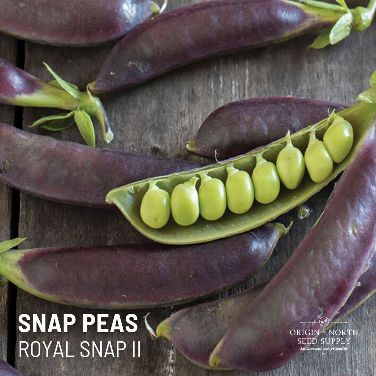 Pea Seeds - Royal Snap II