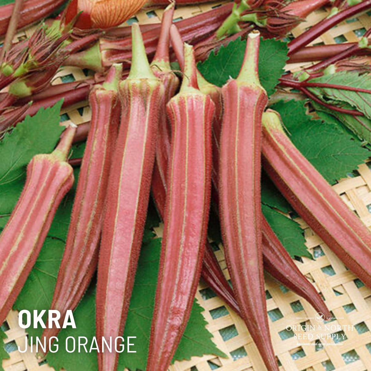Okra Jing Orange x 25 Seeds
