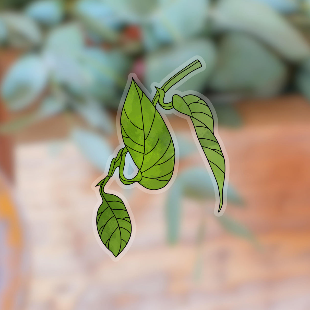 Transparent Pothos Sticker