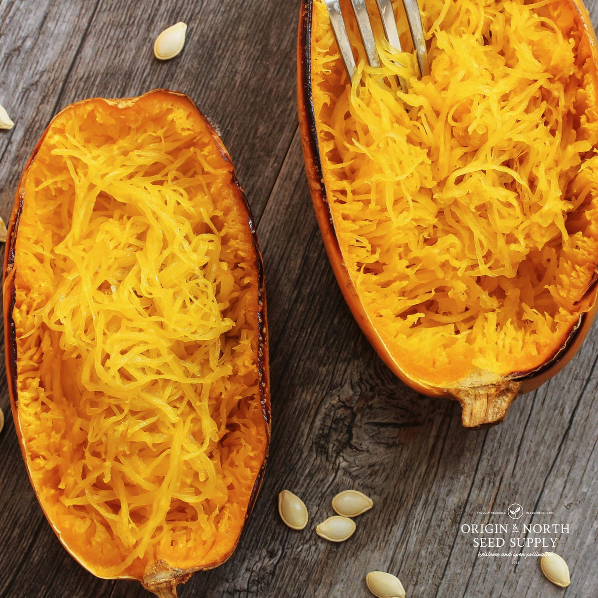 Winter Squash Seeds - Spaghetti