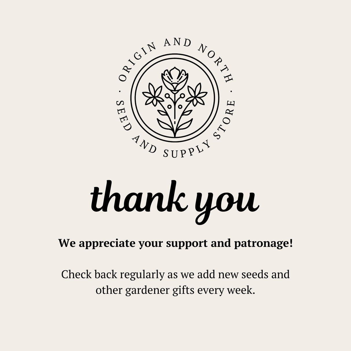 Pumpkin Black Bear x 10 Seeds