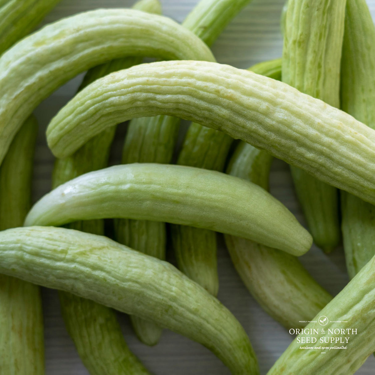 Cucumber Seeds - Dark Armenian