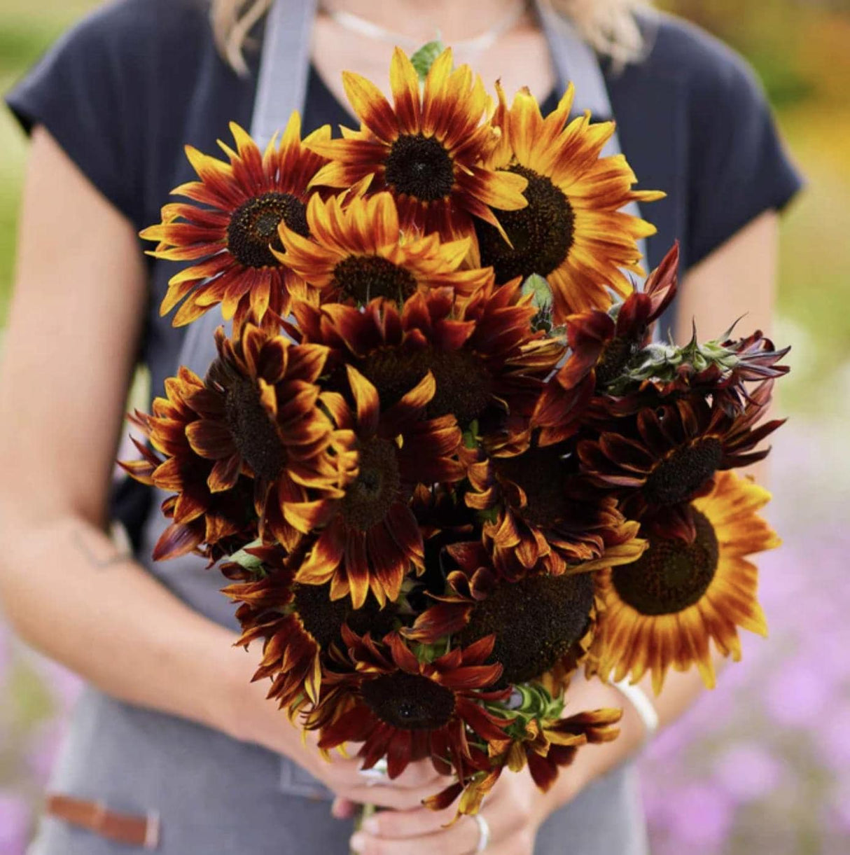 Sunflower Seeds - Red Sun