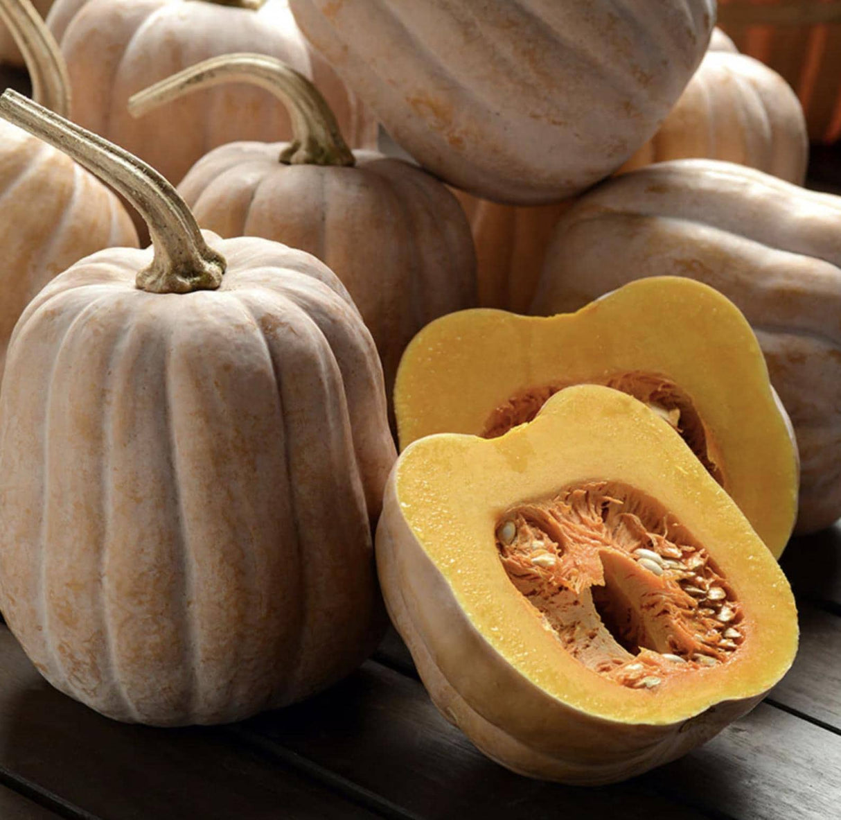Pumpkin Autumn Frost  x 10 Seeds