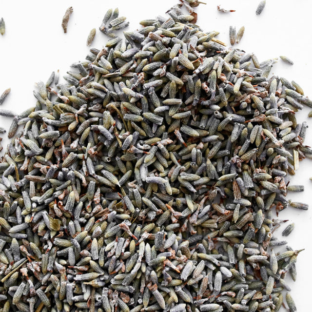 Lavender, whole, Lavandula x intermedia