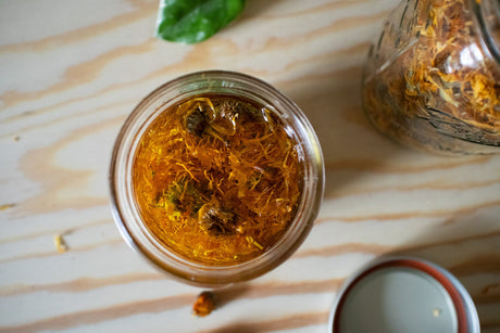 DIY Calendula Infused Oil