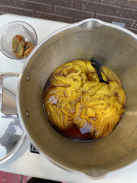 Getting Started with Natural Dye