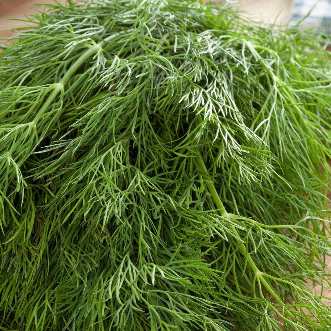 Dill Seeds - Bouquet