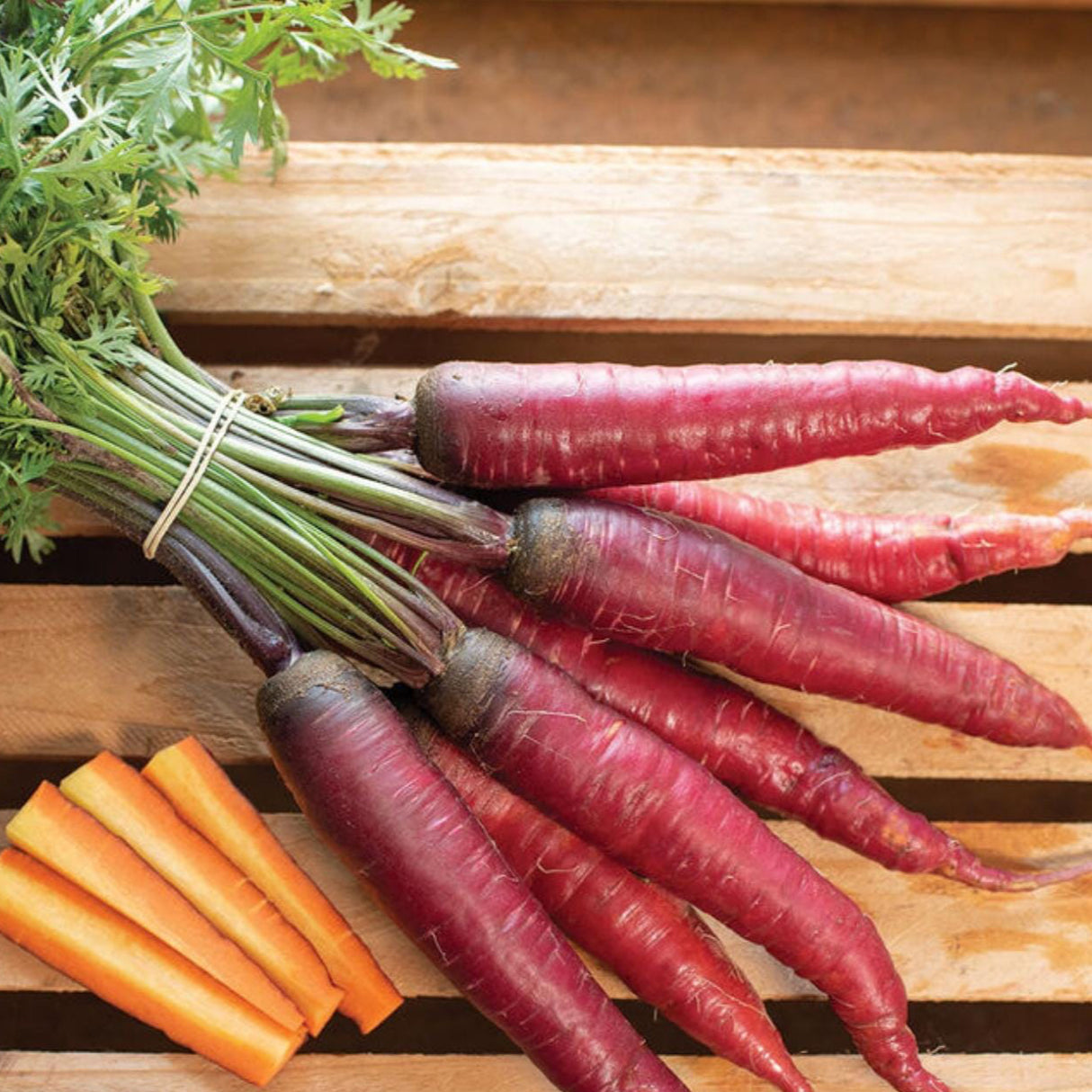 Carrot Seeds - Dragon