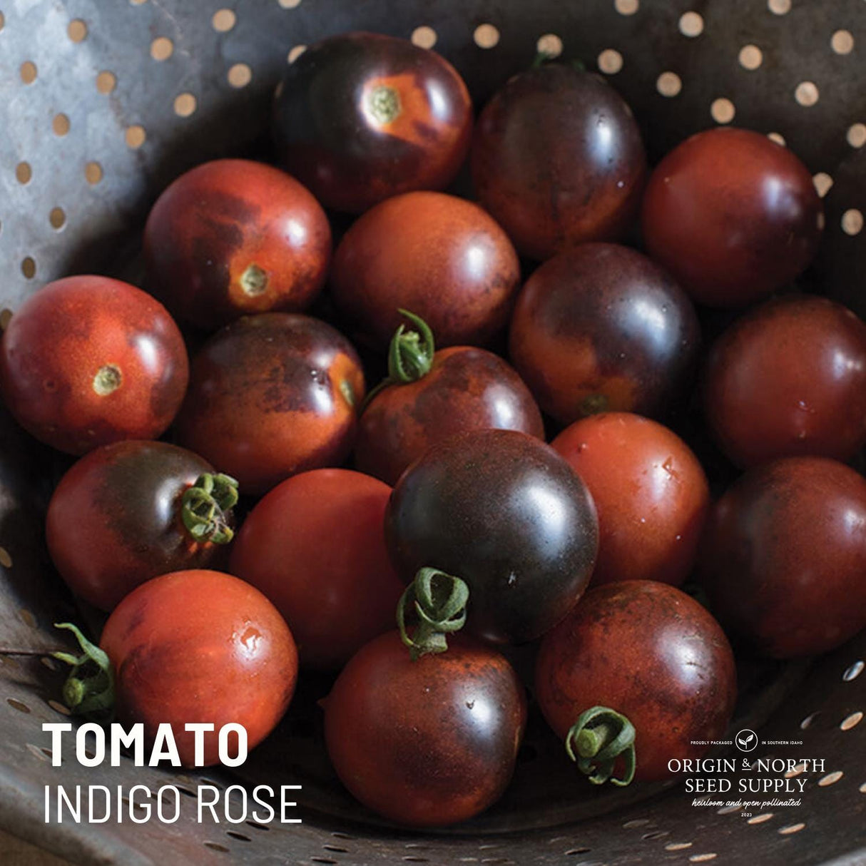 Tomato Seeds - Indigo Rose