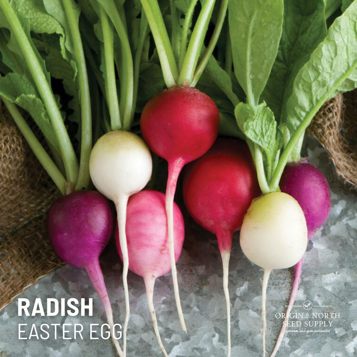 Radish Seeds - Easter Egg