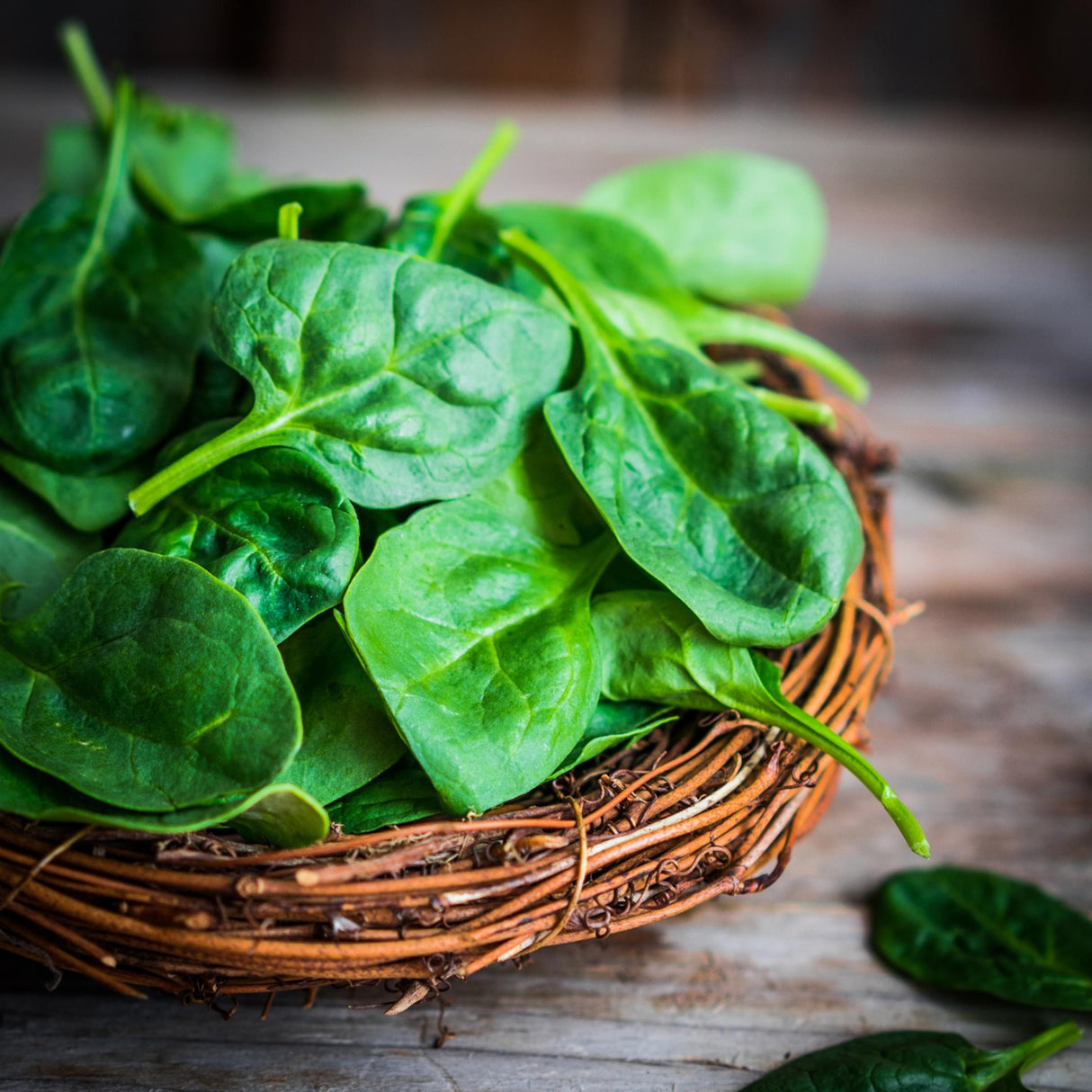 Spinach Seeds - Countryside
