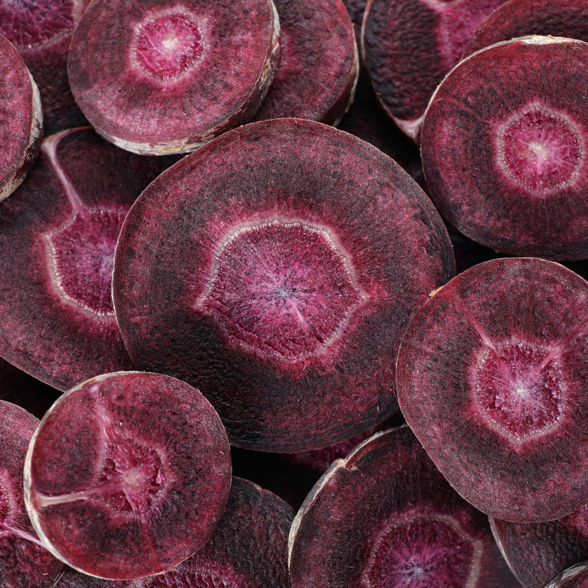 Carrot Seeds - Black Nebula