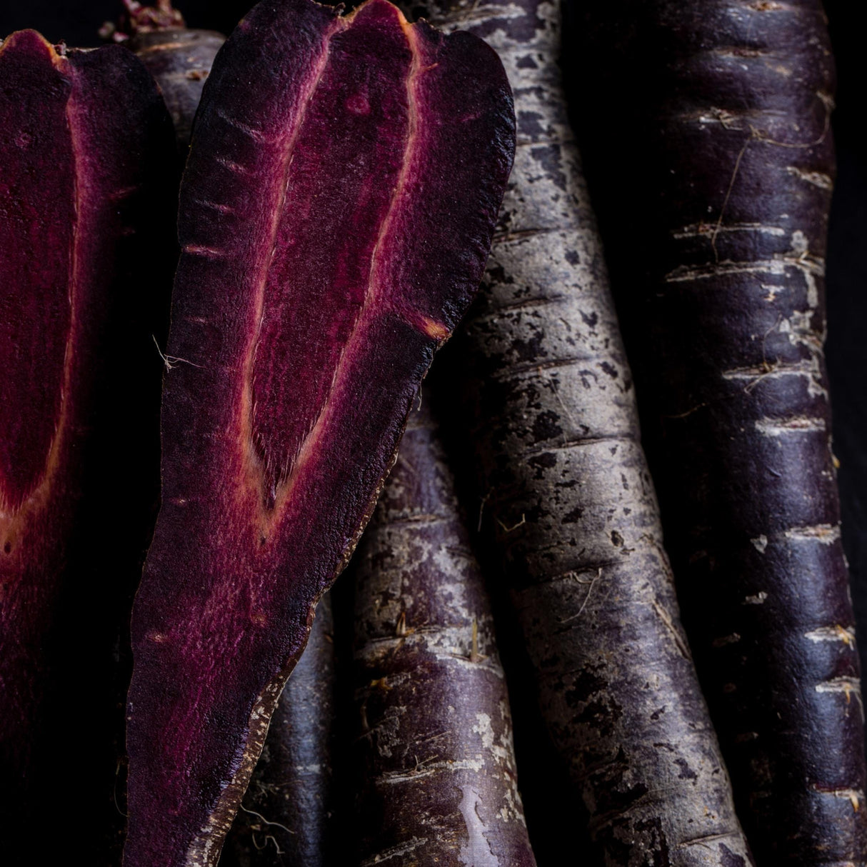 Carrot Seeds - Black Nebula