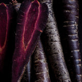 Carrot Seeds - Black Nebula