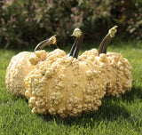 Pumpkin Seeds - Popcorn