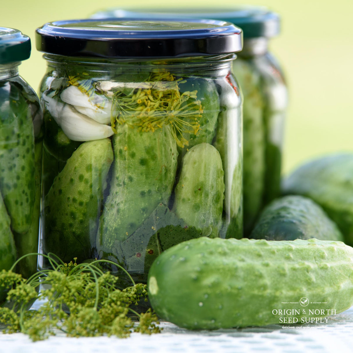 Cucumber Seeds - Max Pack