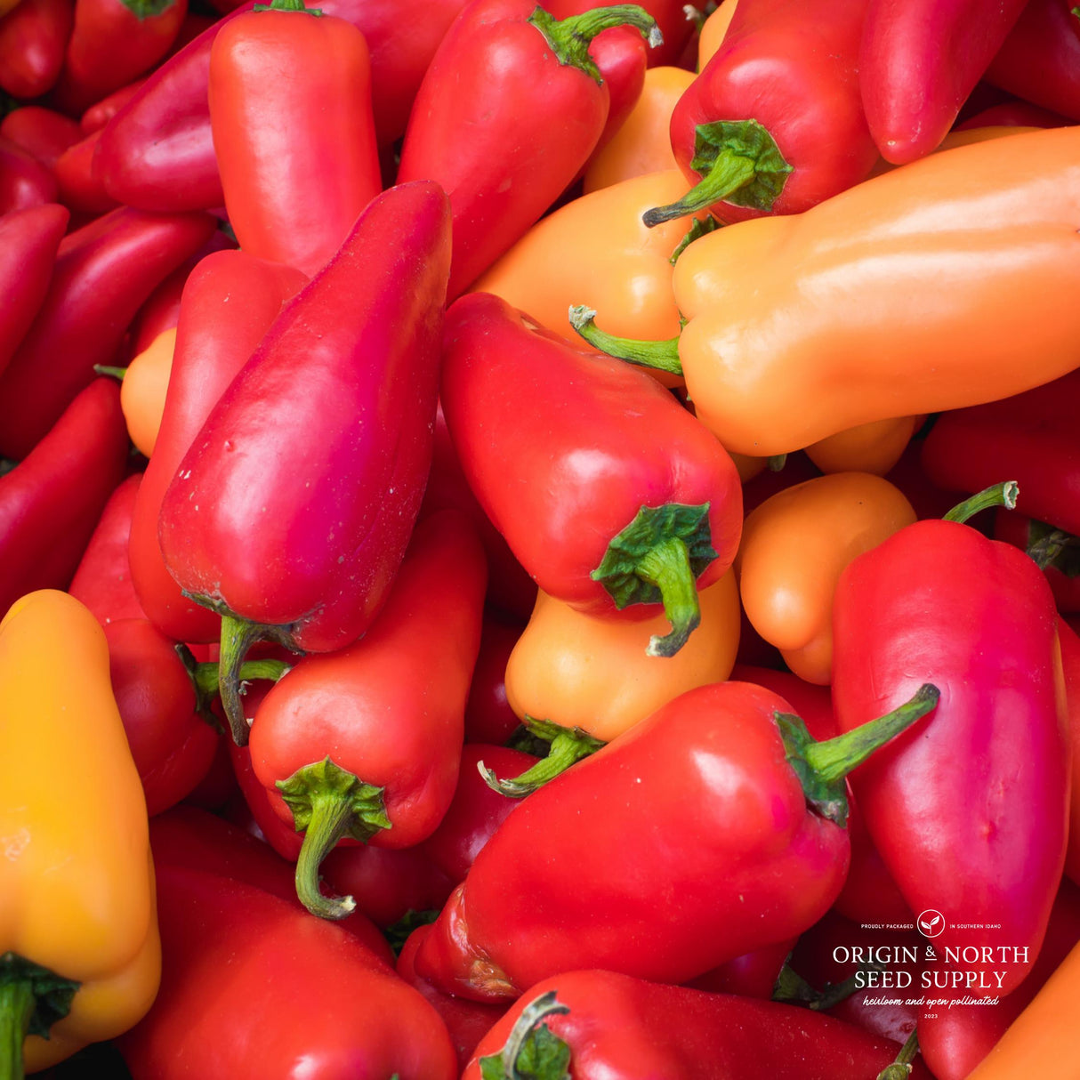 Pepper Seeds - Sweet Italian