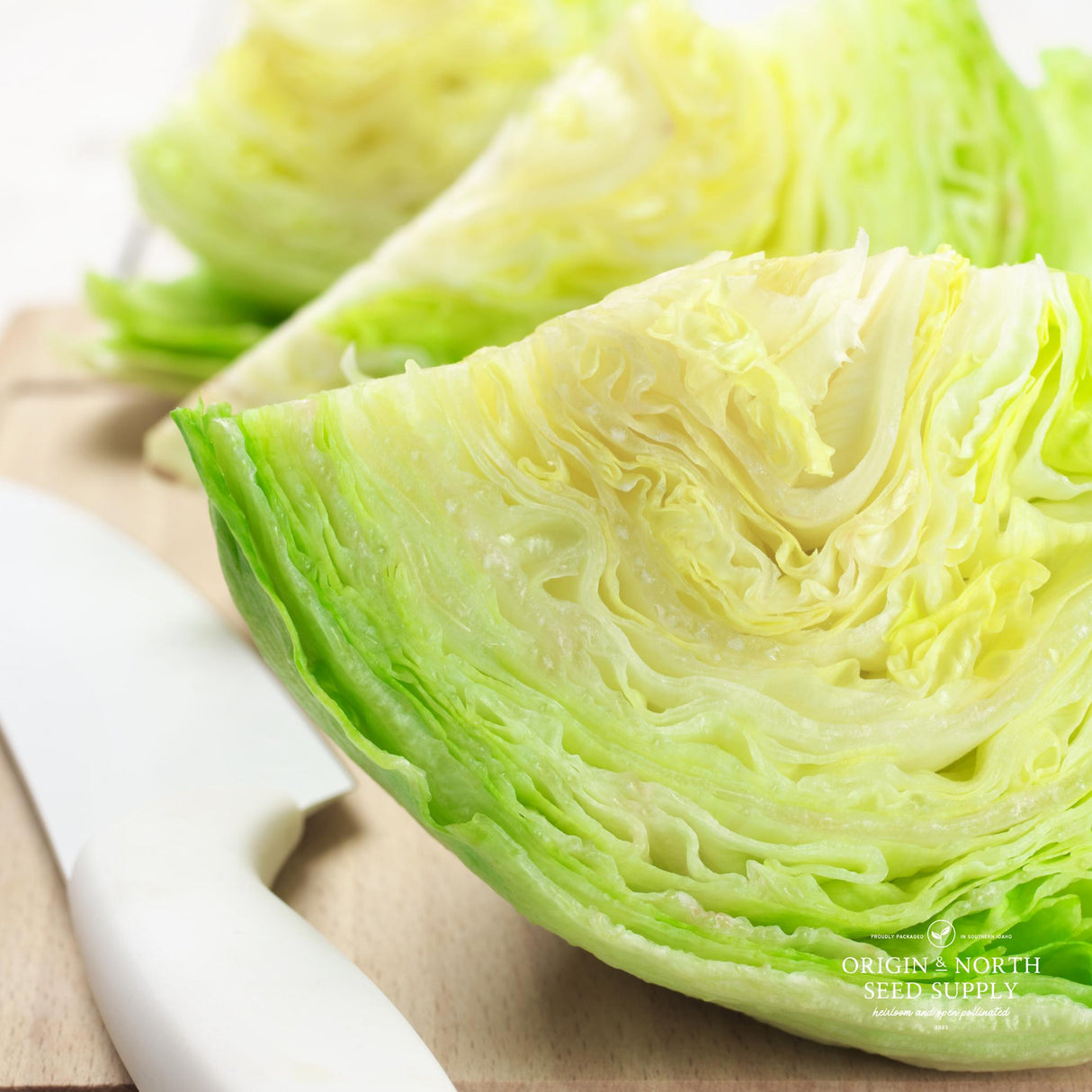 Lettuce Seeds - Slot Machine Iceberg