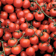 Tomato Large Red Cherry x 20 Seeds