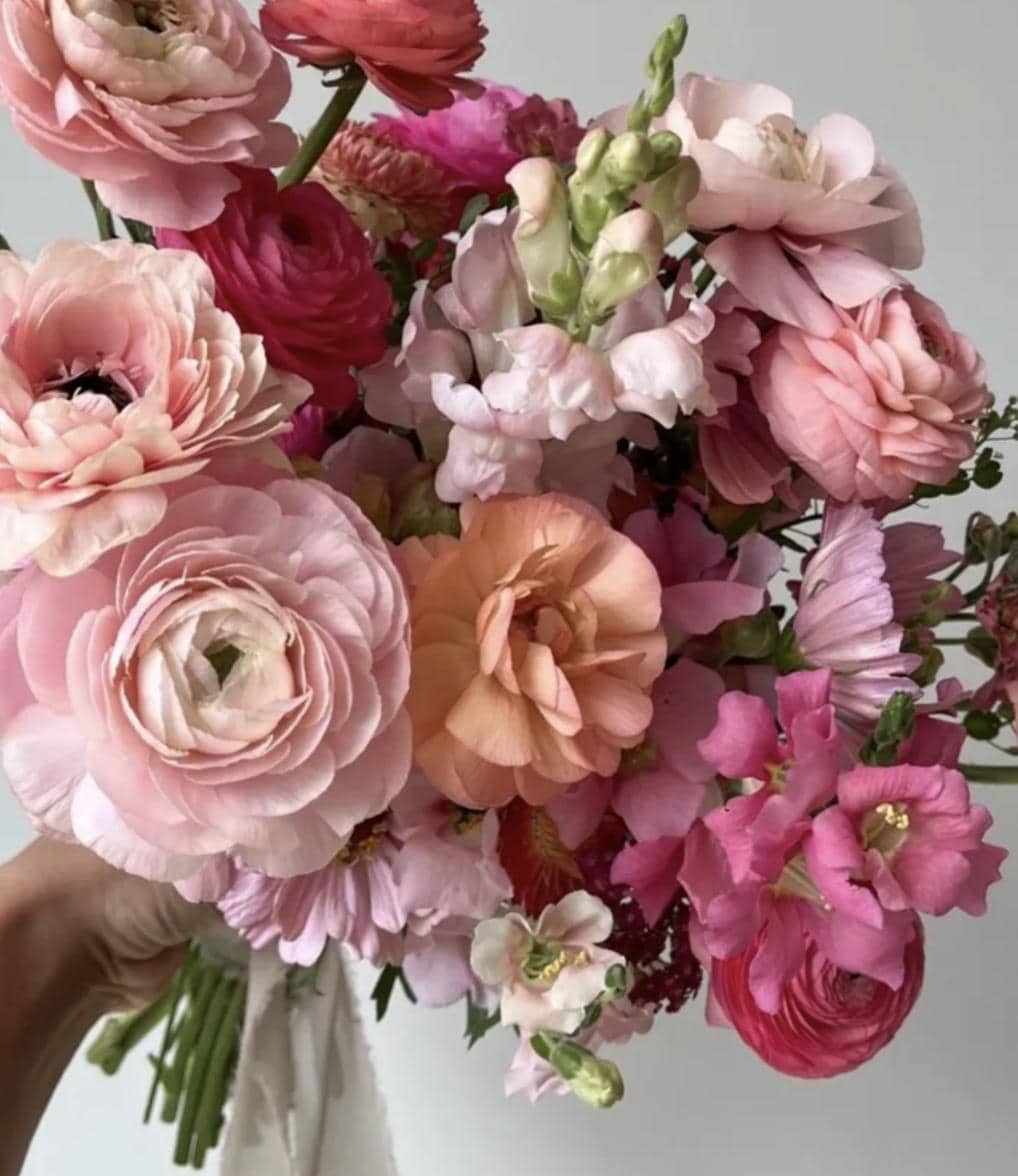 PRE-ORDER Ranunculus - Elegance Dolce Vita