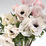 PRE-ORDER Anemone - Panda Bianco
