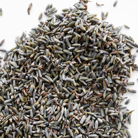 Lavender, whole, Lavandula x intermedia