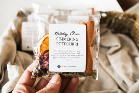 Holiday Cheer Simmer Pot Kit