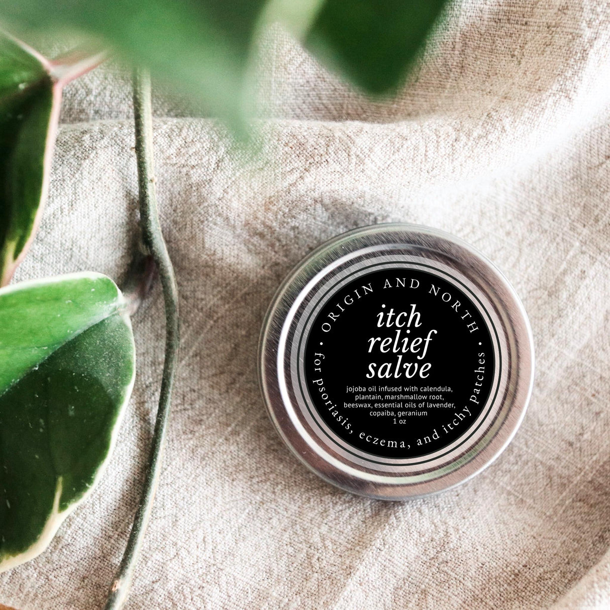 Itch Relief Salve | Calendula, Plantain