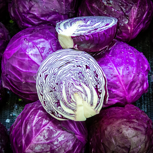 FREE Cabbage Seeds